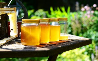 Le miel de forêt, produit parfumé et puissant