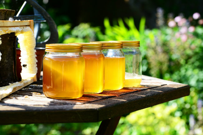 Le miel de forêt, produit parfumé et puissant
