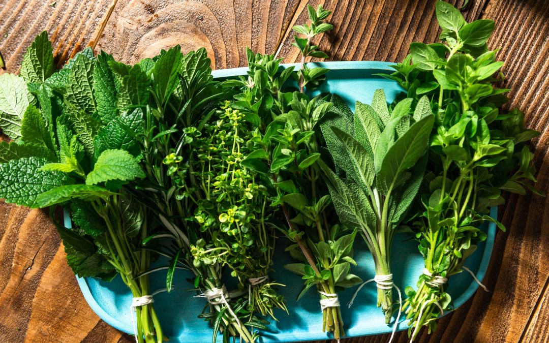 Astuces pour conserver les herbes aromatiques fraîches plus longtemps