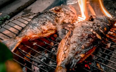 Astuces pour réussir la cuisson du poisson à tous les coups