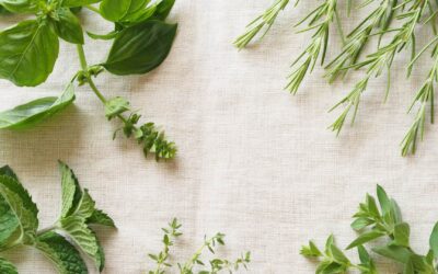 Techniques pour conserver les herbes fraîches plus longtemps