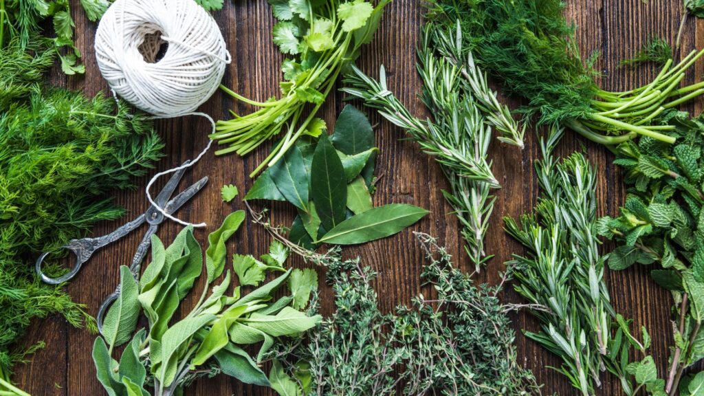 herbe fraiche cuisine